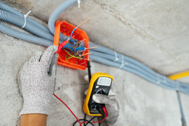 Best Generator Installation Services  in Bellevue, IL