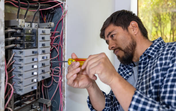 Best Electrical System Inspection  in Bellevue, IL